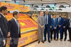 Resaltan papel de lazos económicos como pilar de relaciones Vietnam-UAE