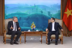 Vietnam busca fortalecer la cooperación integral con Bélgica, afirma premier