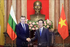 Presidente vietnamita recibe a nuevos embajadores
