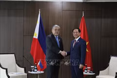 Vietnam patentiza esfuerzos por fomentar lazos con países en región