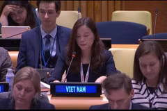 Vietnam destaca importante papel de seguridad hídrica en reunión de ONU
