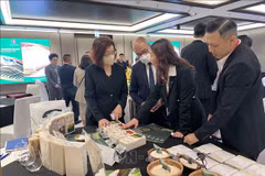 Vietnam presenta arroz de alta calidad en Hong Kong (China)