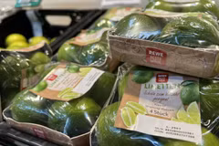 Exportaciones de productos agrícolas de Vietnam a UE alcanzan crecimiento impresionante