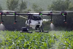 Hanoi fomenta uso de drones al servicio de producción agrícola