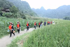 Promueven inversiones en bienes raíces agroturísticos en Vietnam