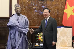 Presidente de Vietnam recibe al embajador de Nigeria