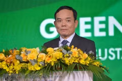 Vietnam promueve transformación verde y crecimiento sostenible en la región central