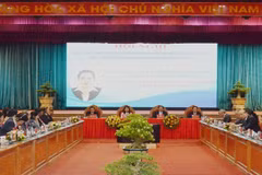 Provincia de Binh Dinh presenta su potencial y ventajas a socios extranjeros