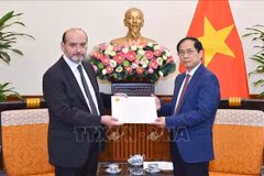 Vietnam dispuesto ayudar a Turquía para superar consecuencias del terremoto