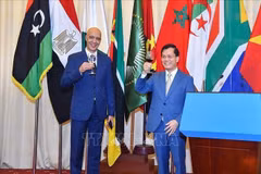  Celebran el Día Mundial de África en Hanoi