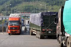 Promueven cooperación comercial entre Vietnam y provincia china de Yunnan