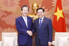 Relaciones Vietnam-Japón se basan en confianza política