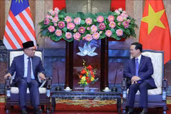 Presidente de Vietnam recibe al primer ministro de Malasia