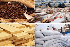Exportaciones de productos agrosilvícolas y acuícolas de Vietnam alcanzan superávit récord