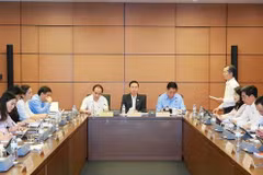 Busca Vietnam soluciones para desarrollo sostenible de delta de Mekong