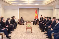 Premier se reúne con líderes de asociaciones de amistad entre Japón y Vietnam