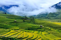 Turistas disfrutan temporada de arroz maduro en Mu Cang Chai 