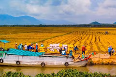 Promueven inversión en agricultura y desarrollo rural en Delta del Mekong 