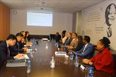 Vietnam y Sudáfrica intercambian experiencias de auditoría 