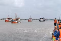 Mejora conciencia de pescadores de Bac Lieu sobre la aplicación de la ley