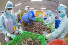 Productos agroforestales y acuáticos de Vietnam registran superávit comercial
