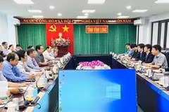 Empresas japonesas buscan oportunidades de inversión en Vinh Long