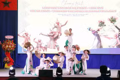 Intercambio cultural ayuda a promover amistad Vietnam-Tailandia