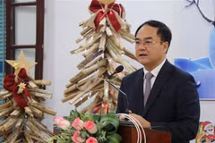 Viceministro: No dejen que percepciones falsas afecten nexos Vietnam-EE.UU.