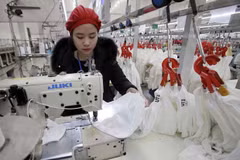 Vietnam, un destino atractivo para países nórdicos