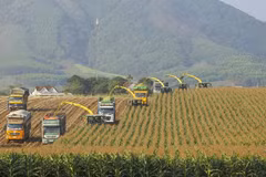 Destacan en Vietnam necesidad de inversión privada en crecimiento verde