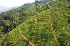 Vietnam y BM cooperan en la respuesta al cambio climático para el crecimiento verde