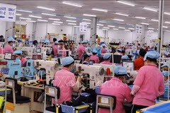 Kien Giang registra aumento de 10 por ciento del valor de producción industrial