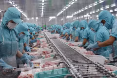 Embajador: 2023 marca avances en relaciones Vietnam-Estados Unidos 