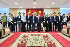 Binh Duong intensifica atracción de inversiones