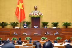 Parlamento de Vietnam debate Plan Maestro Nacional para el período 2021-2030
