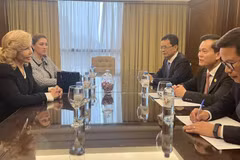 Vietnam desea fomentar nexos cooperativos con Paraguay