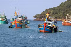 Provincia vietnamita redobla esfuerzos contra la pesca ilegal