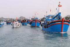 Pescadores vietnamitas se esfuerzan por el levantamiento de “tarjeta amarilla”