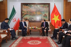 Vietnam e Irán por promover cooperación cultural, deportiva y turística