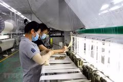 Provincia vietnamita avanza en reducción de la pobreza