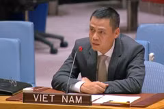Vietnam asiste a sesión de debate abierto sobre cambio climático, paz y seguridad