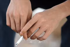 Camboya aplica impuesto al valor agregado (IVA) a cigarrillos