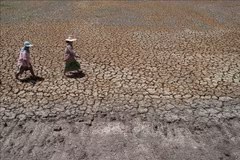 Tailandia registrará menos precipitaciones el próximo año debido a El Niño