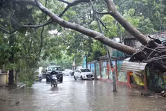 Vietnam sufrirá en 2023 menos tormentas y depresiones tropicales