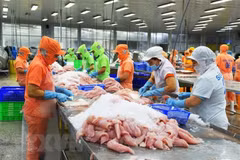 Más de 90 por ciento del pescado Tra vendido en Estados Unidos proviene de Vietnam 