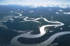 Empeñado Vietnam en resolver asuntos relacionados al medio ambiente