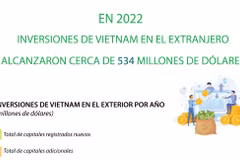Inversiones de Vietnam en el extranjero alcanzaron cerca de 534 millones de dólares 