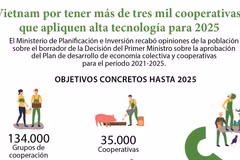 Vietnam por tener más de tres mil cooperativas que apliquen alta tecnología para 2025