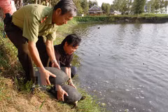  Continúa apoyo danés a Vietnam en preservación de biodiversidad