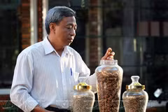 Kien Cuong – marca de visón café de Vietnam 